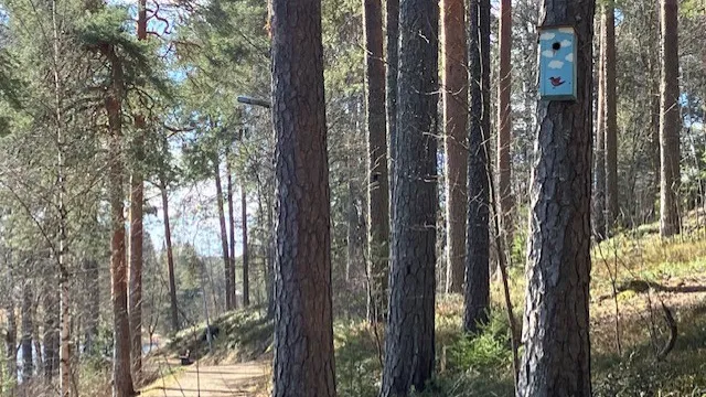 Tapahtuman kuva
