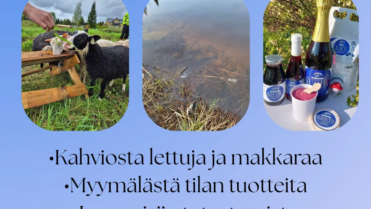 Tapahtuman kuva