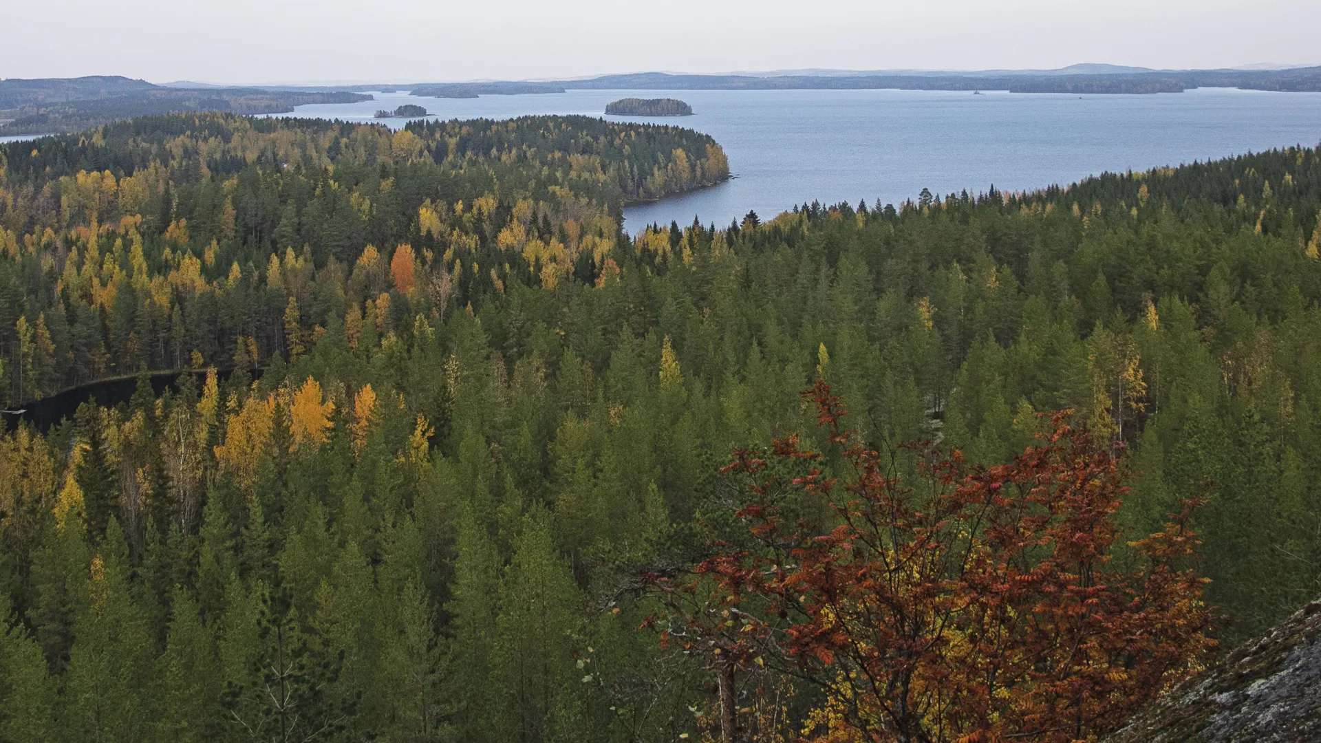 Tapahtuman kuva