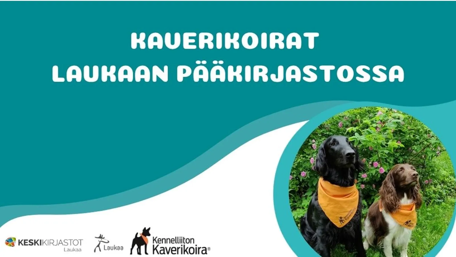 Companion dogs at the Laukaa main library