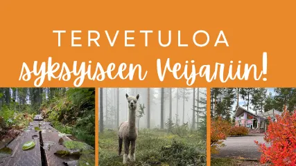 Tapahtuman kuva