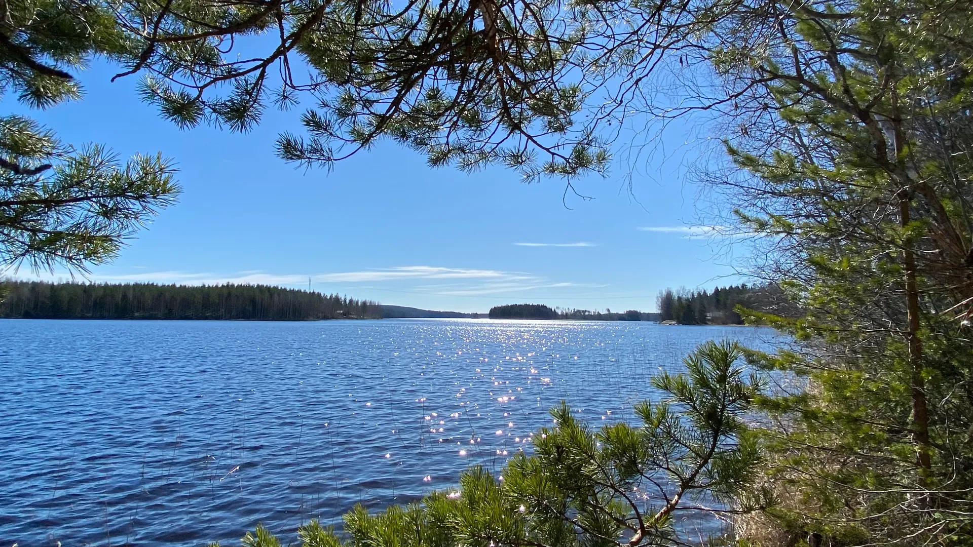 Kirjasto mukana Helminpäivän tapahtumassa