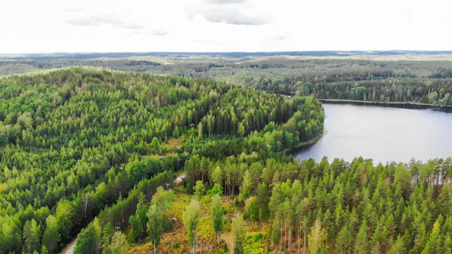 Tapahtuman kuva